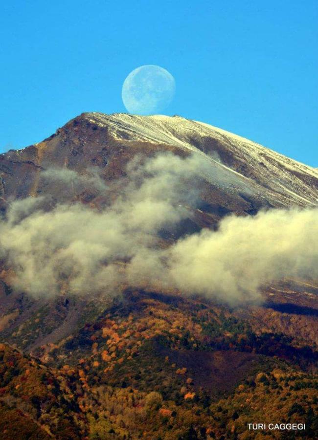 Guest House Le Ginestre Dell'Etna Belpasso Ngoại thất bức ảnh
